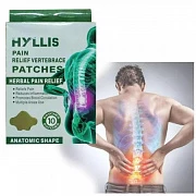 Umurtqalar uchun o'simlik og'riq qoldiruvchi SaluVera  yamalar