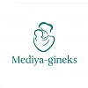 Media Gineks