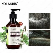 Soch ildizlarini qoraytiradigan Rapm shampuni